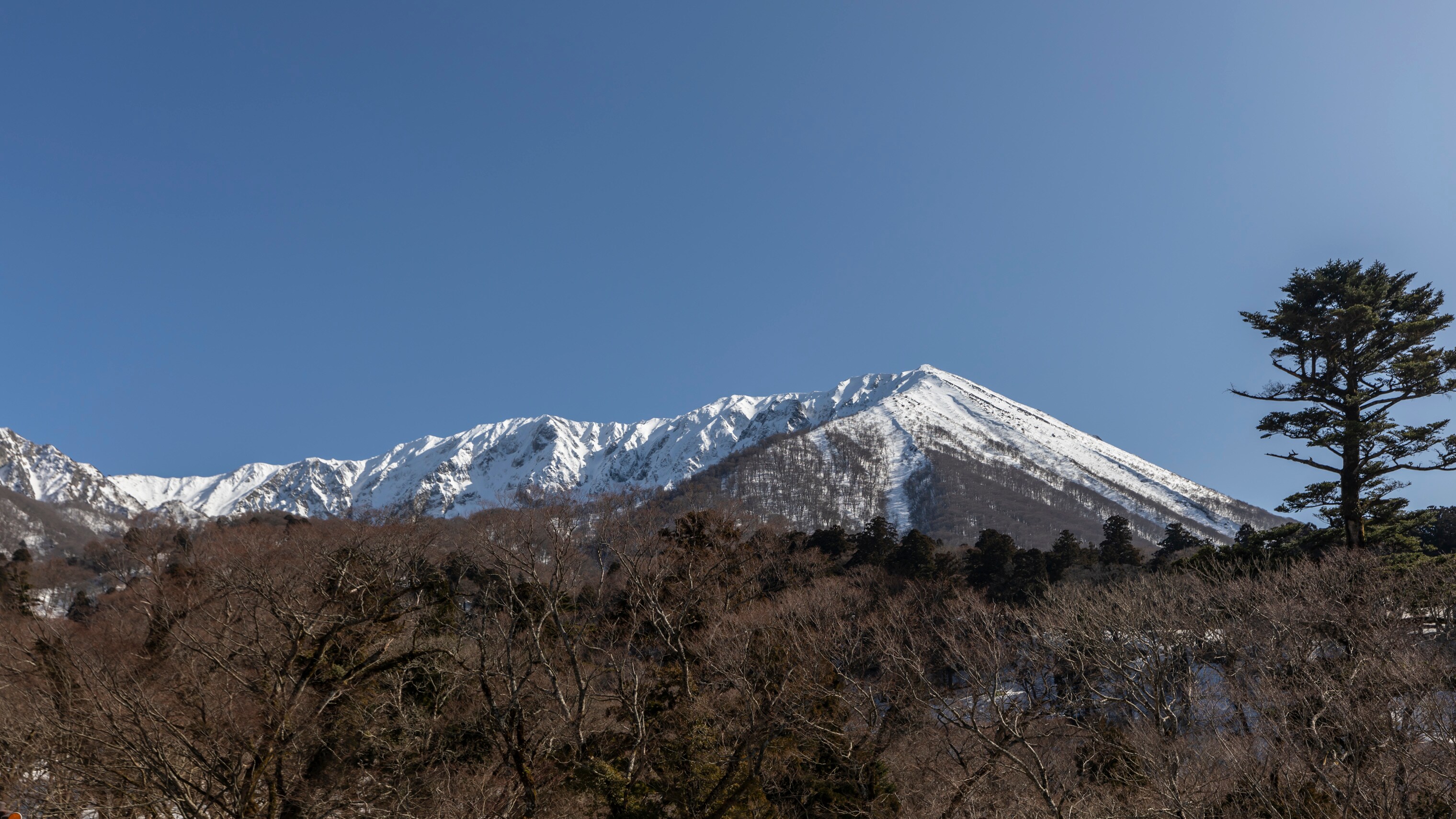 周围环境和风景