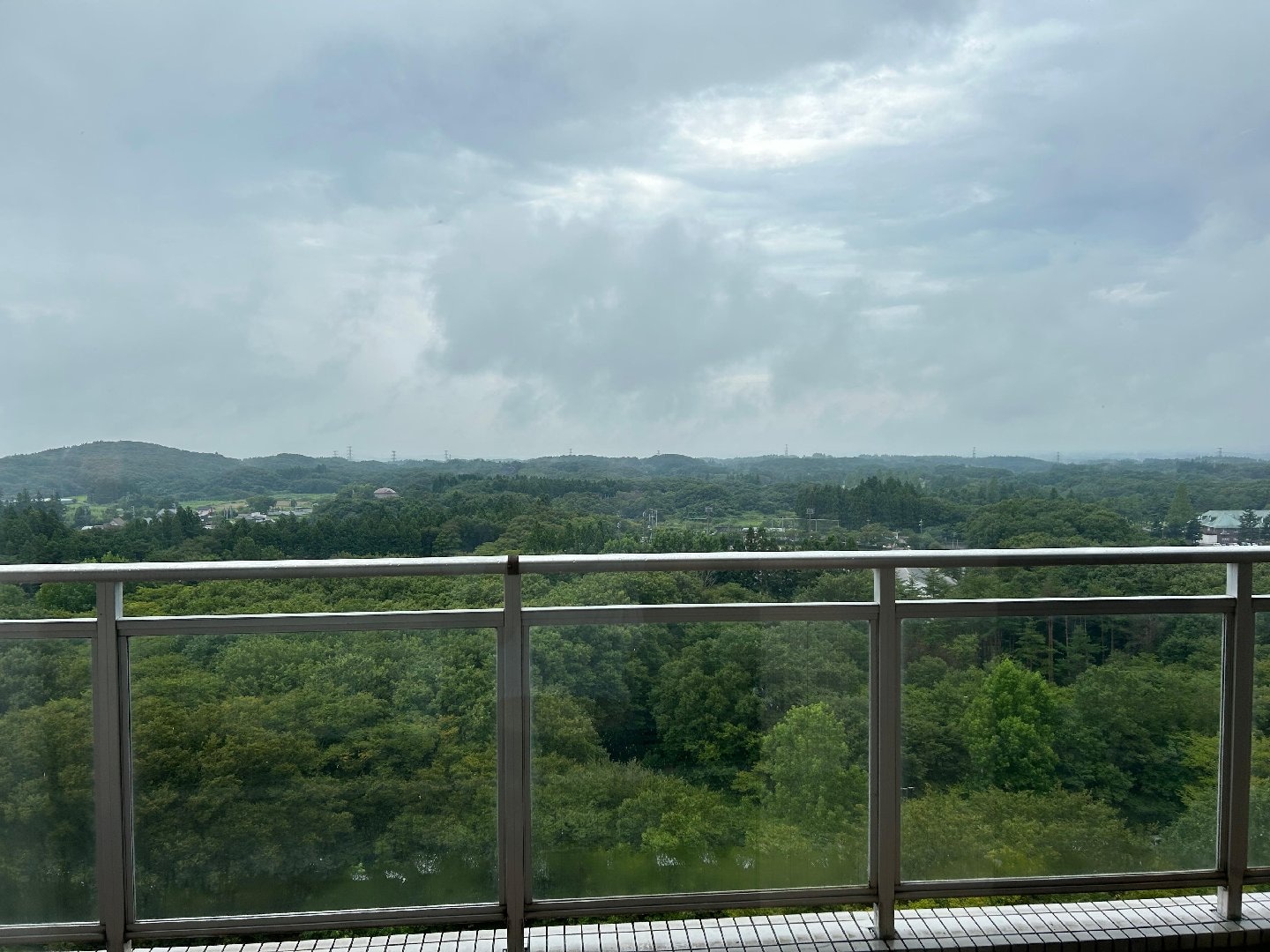 IMG_8883.jpeg