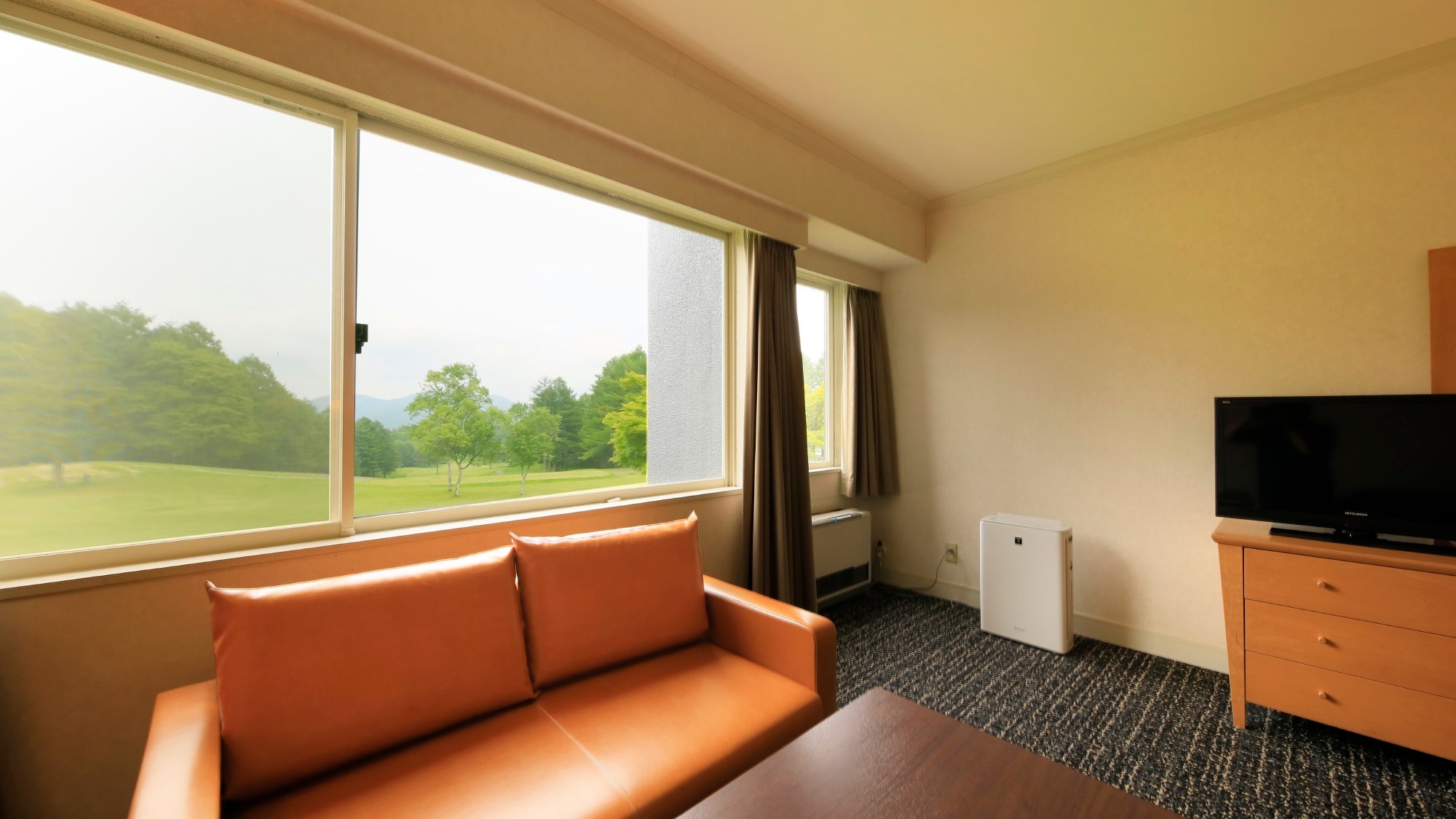 <Non-smoking room> Twin room