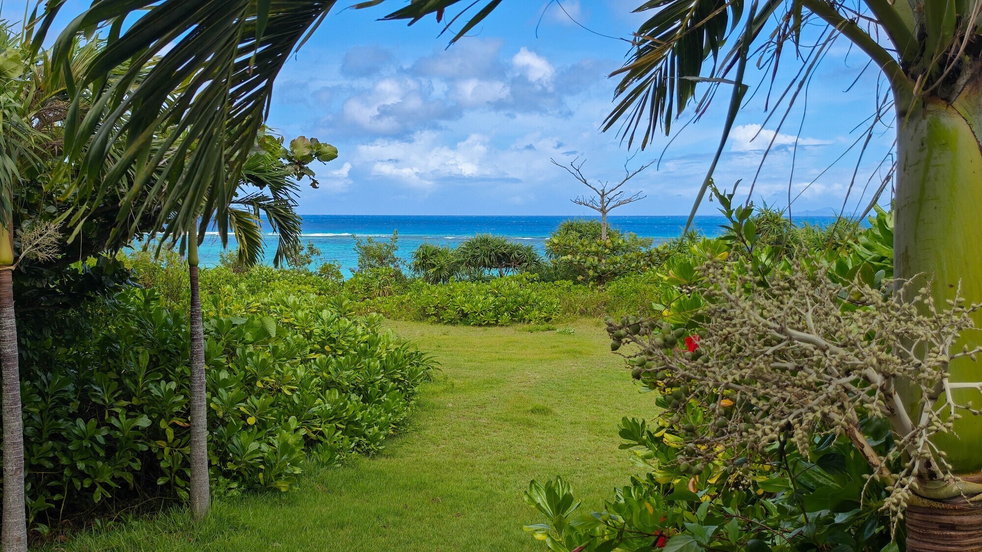 [Bãi biển Nagahama]