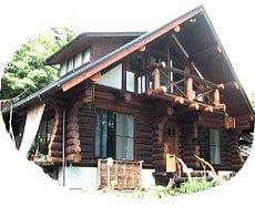 Appearance image
