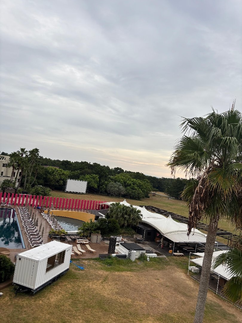 IMG_3833.jpeg