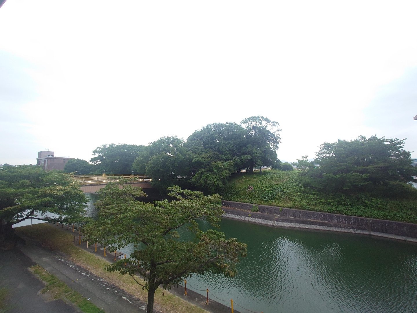 20260720_045547.JPG