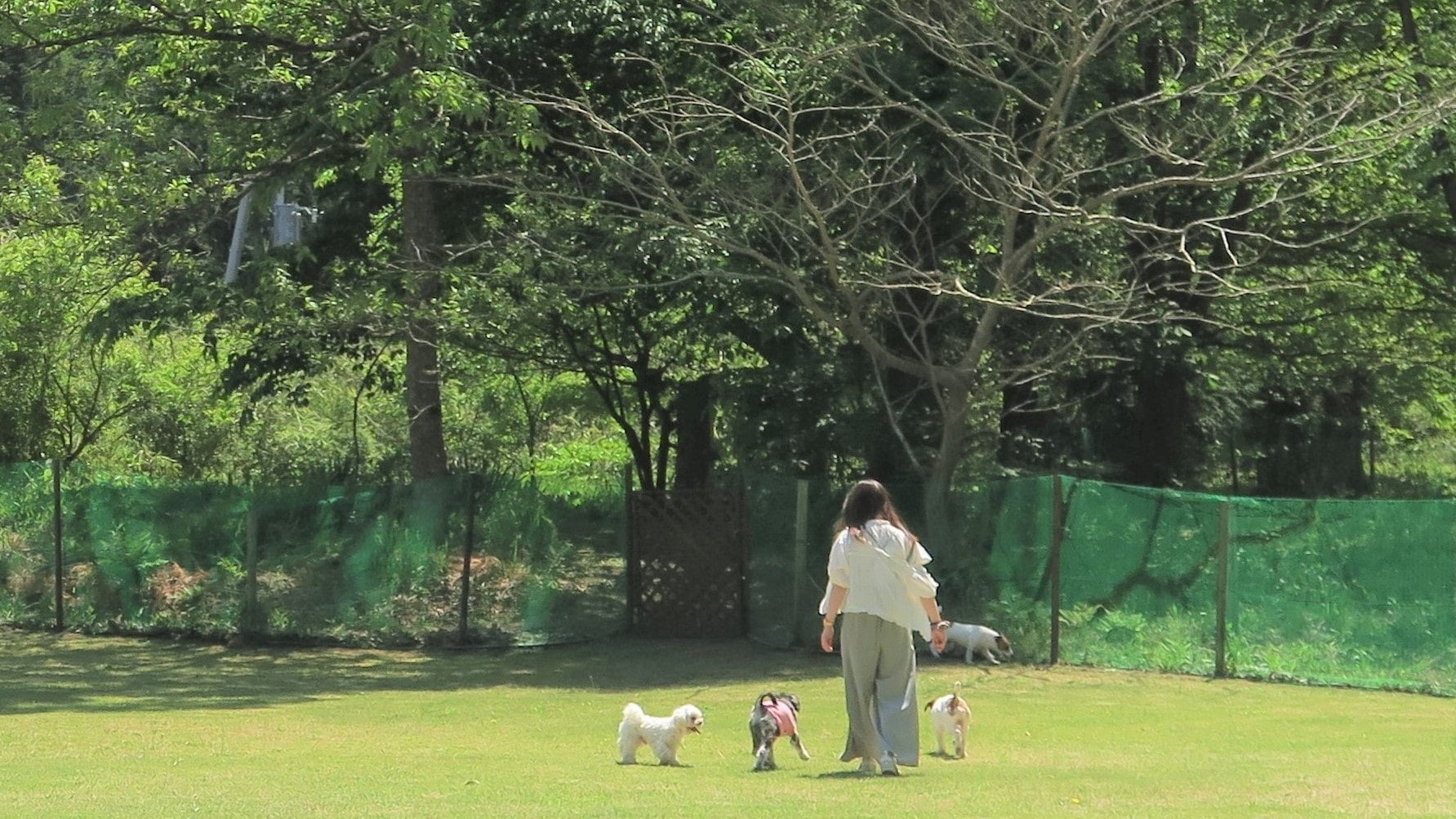[Pet Resort College Nikko]