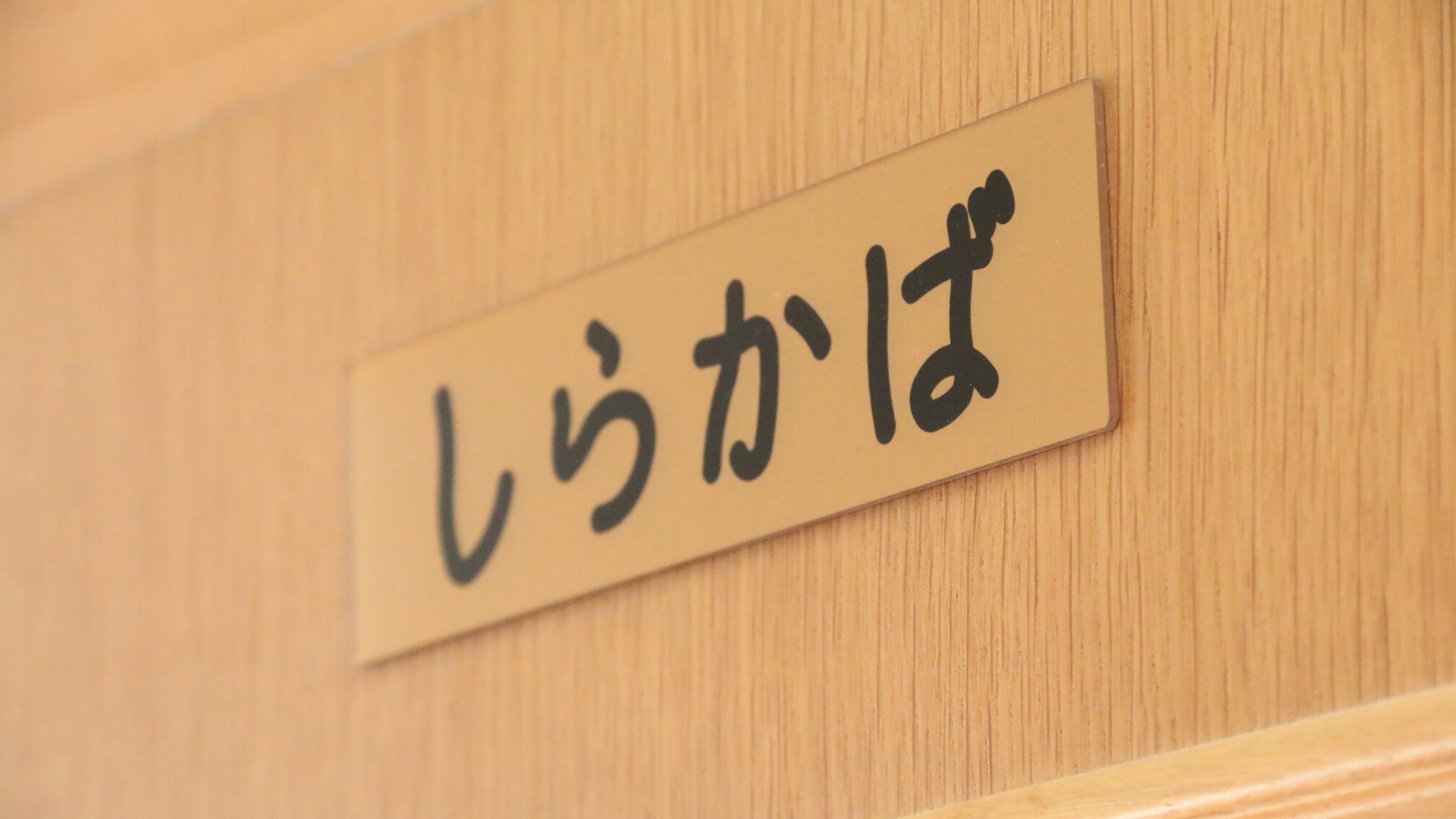 □★Guest Room_Shirakaba