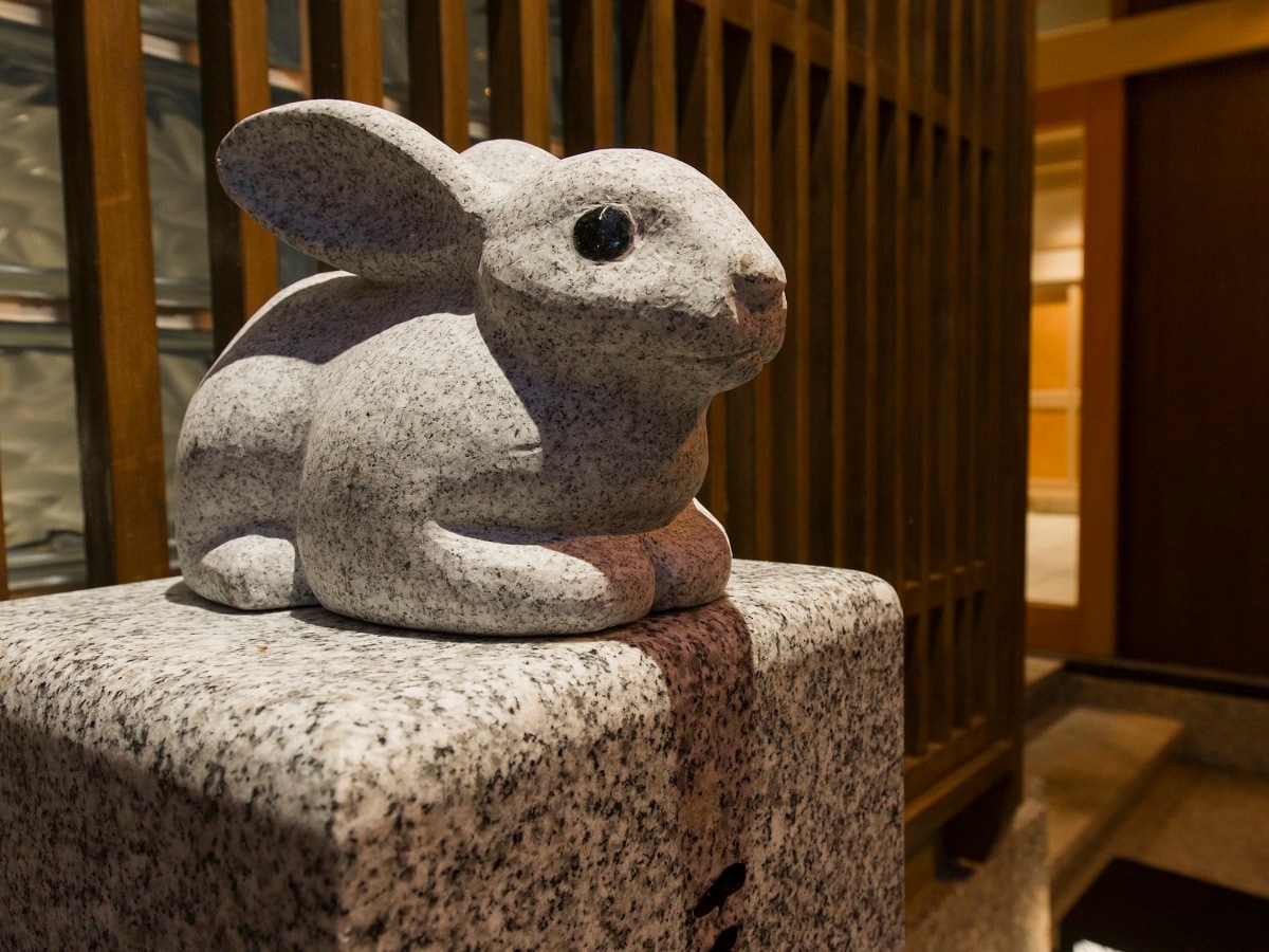 Entrance rabbit