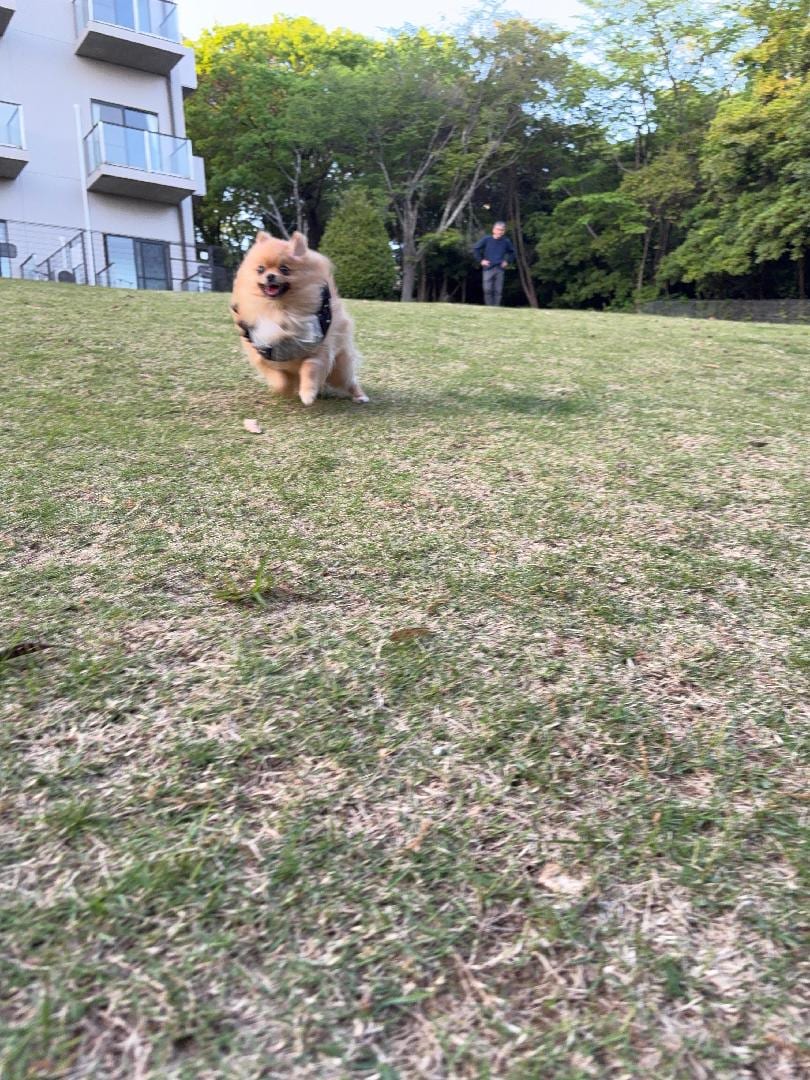 2BA03D2A-C7A3-45AC-A05E-E77195E19680.jpeg