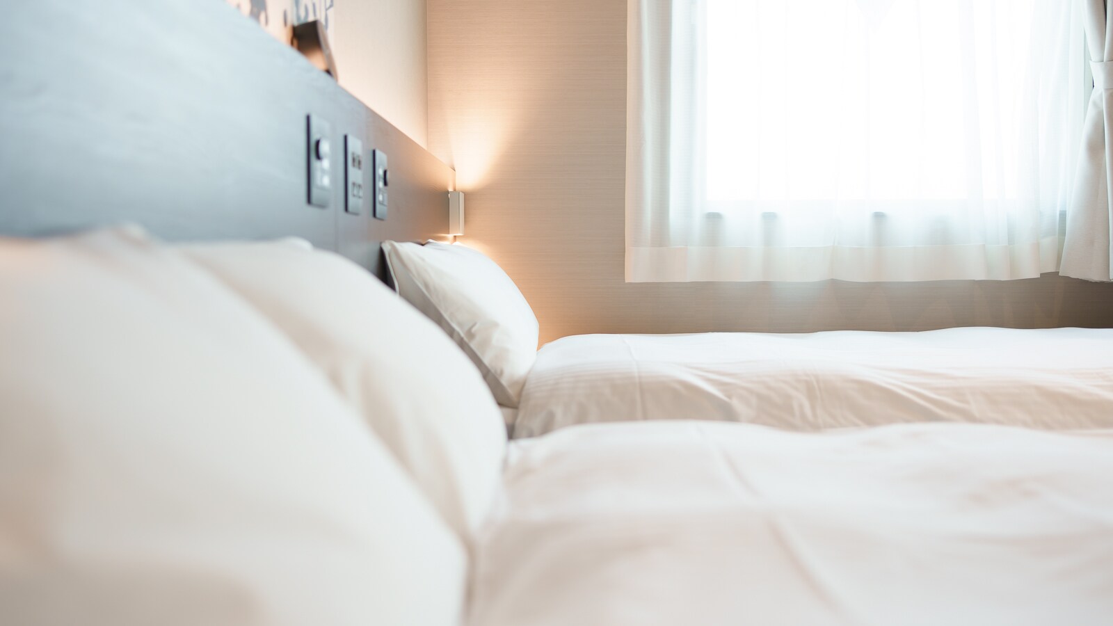 Premium Twin: 2 Sealy double beds (1400×1950)