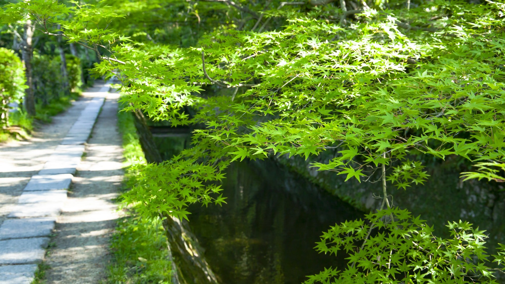Philosophy road image