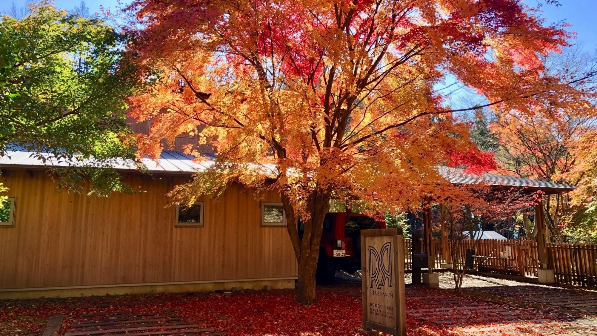 Enjoy a special moment while enjoying the scenery of each season.