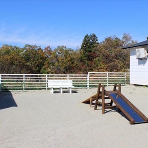 这个狗狗乐园地理位置绝佳，微风习习。狗狗们可以在狗狗隧道和滑梯里尽情玩耍。