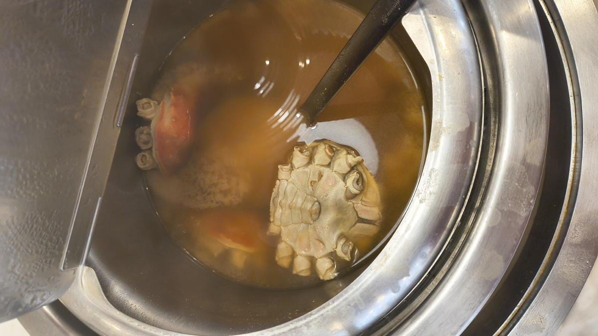 crab.jpg
