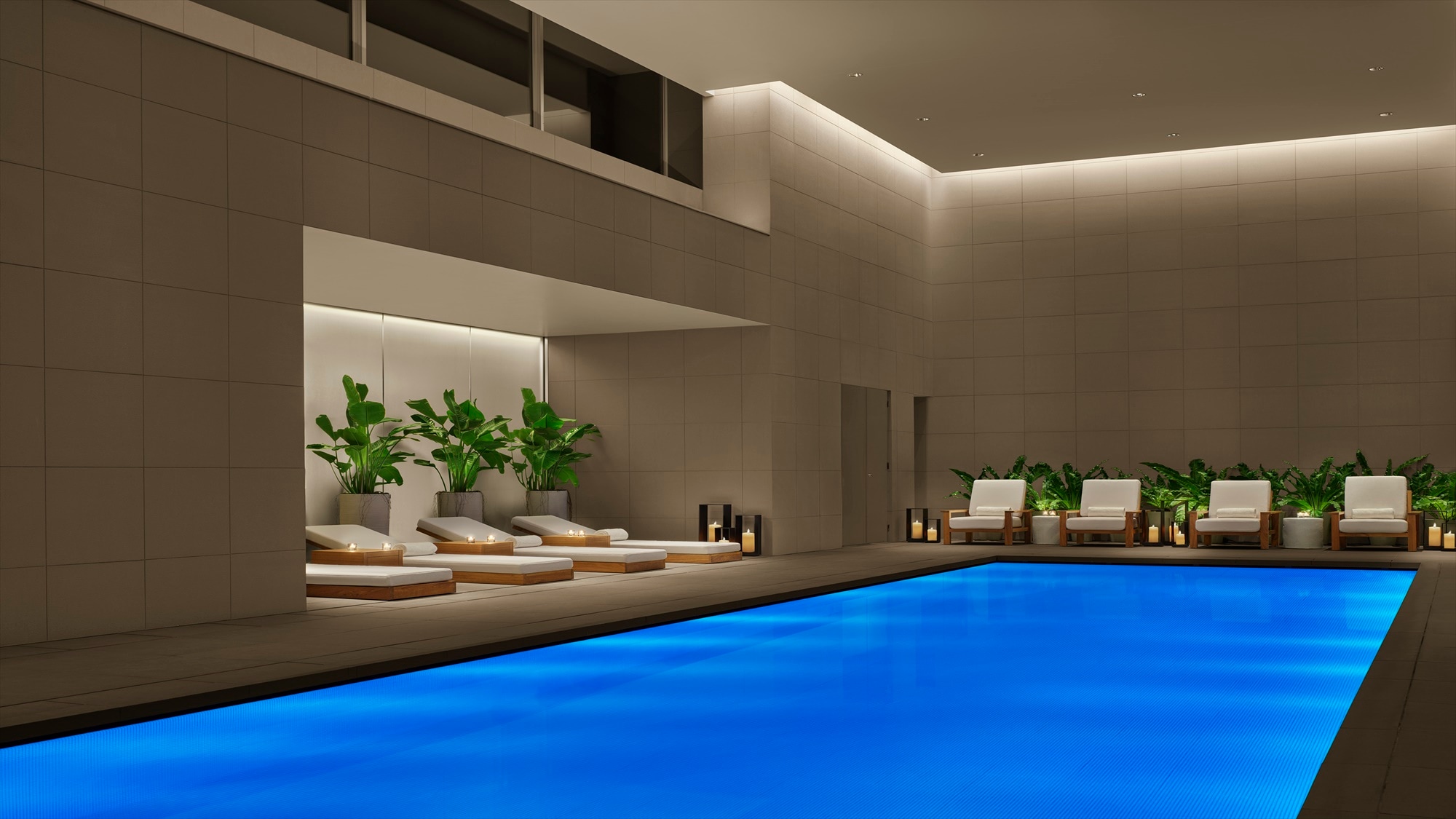 A 14-meter-long pool and a 2.5-meter-diameter Jacuzzi are available, illuminated by a fantastic blue.