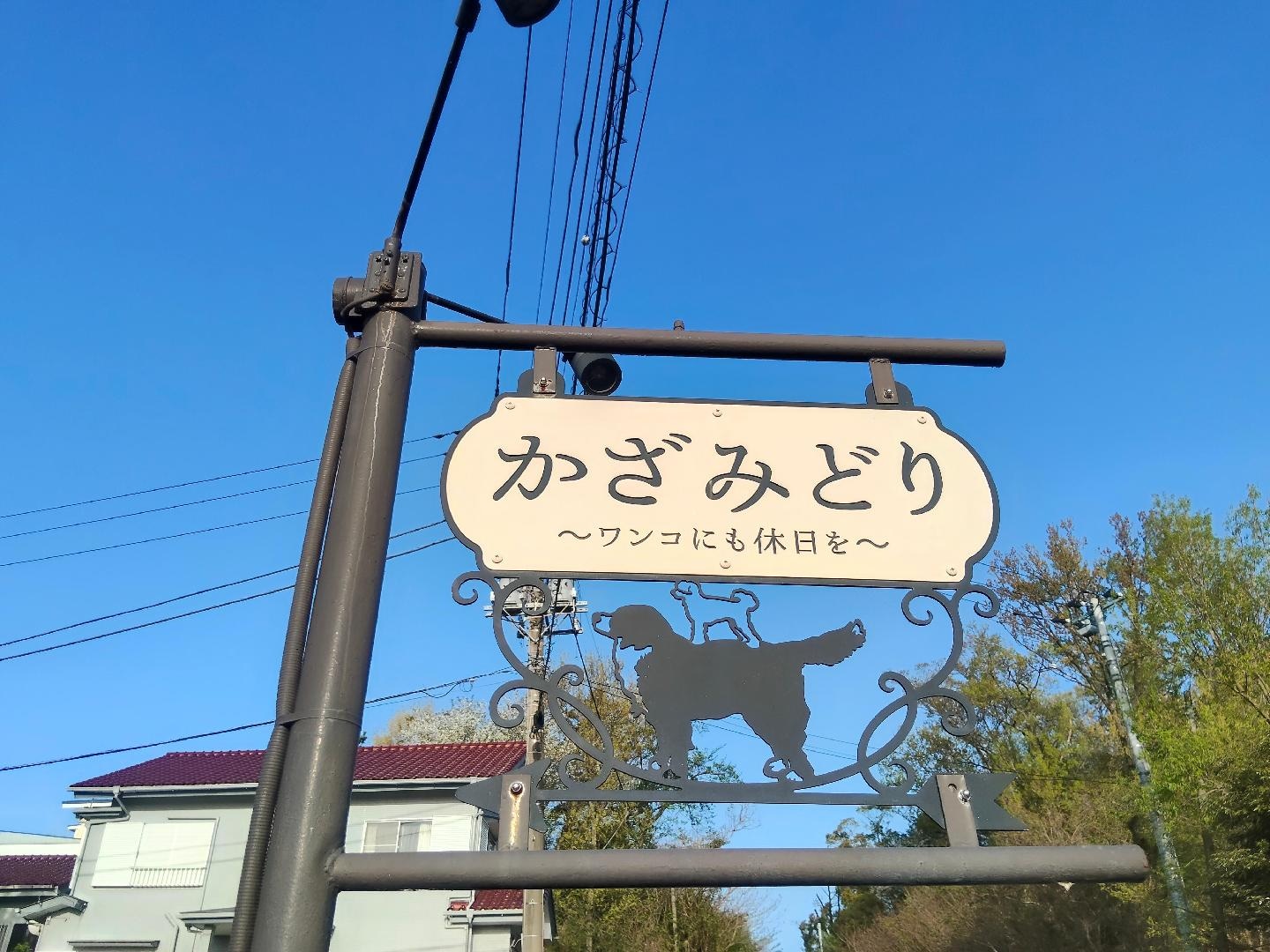 982.jpg