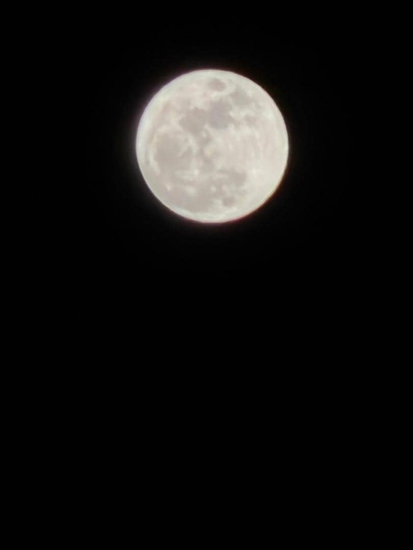 D201E657-3BE4-411B-B0B2-40220D09F745.jpeg