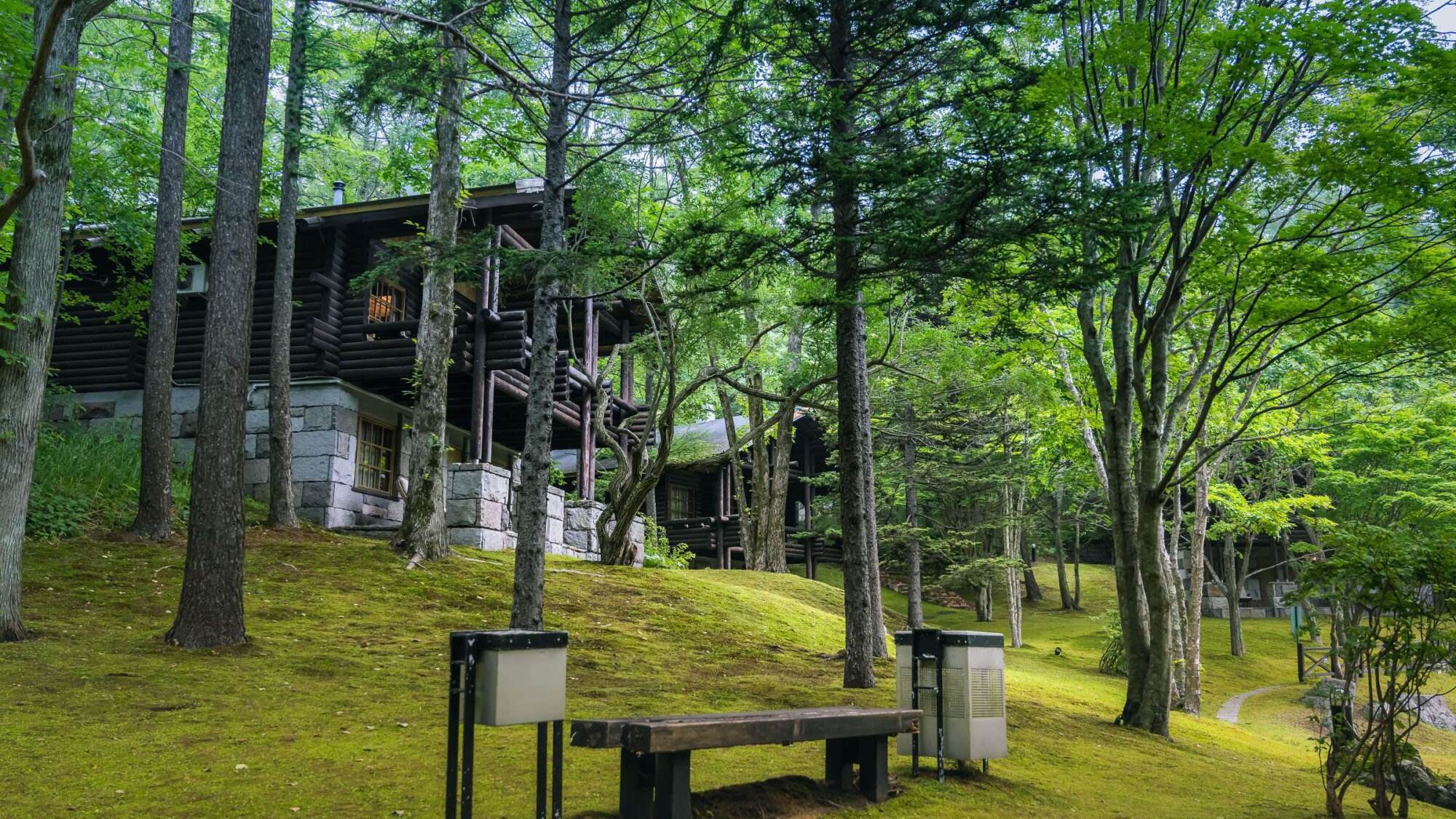Forest View Cottage [Exterior]