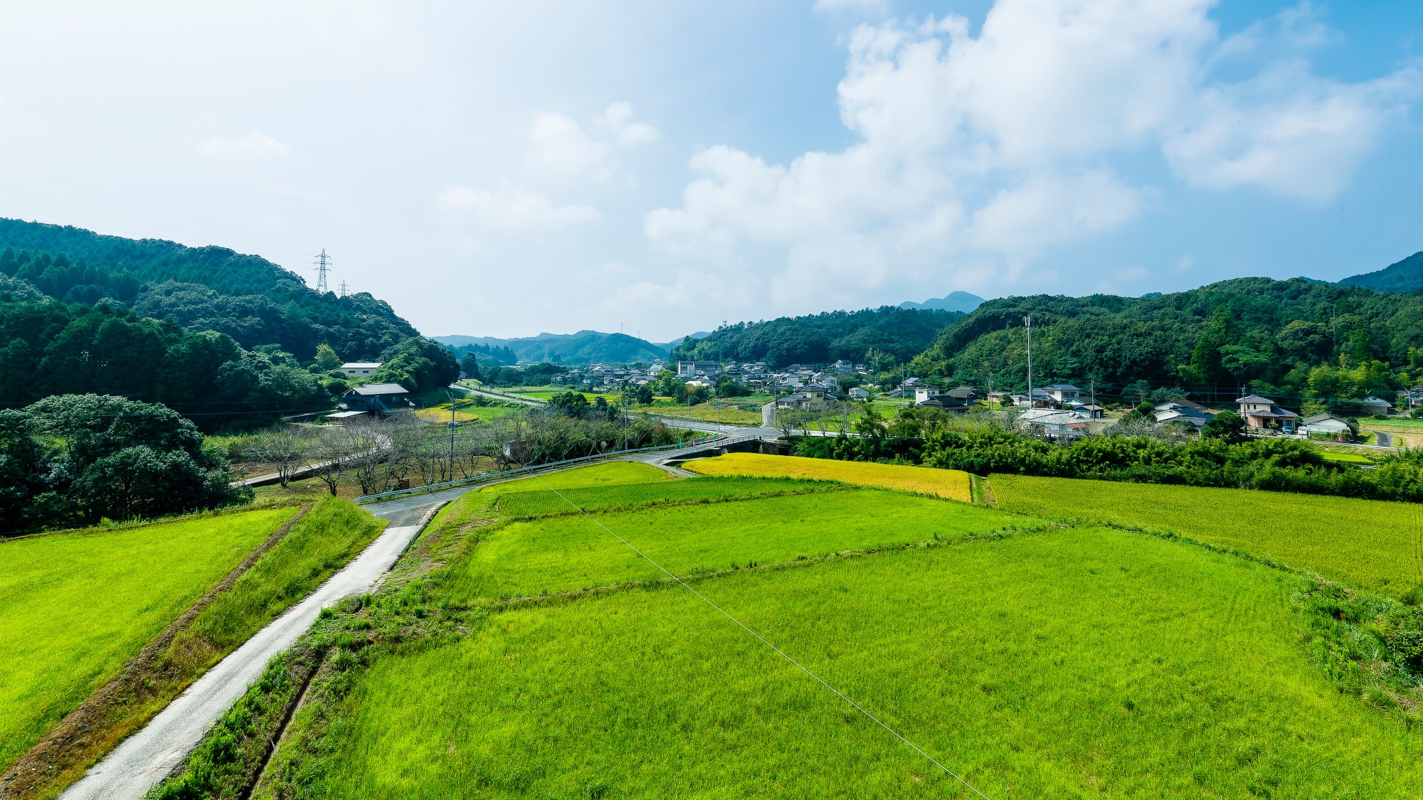 [旅館景觀]