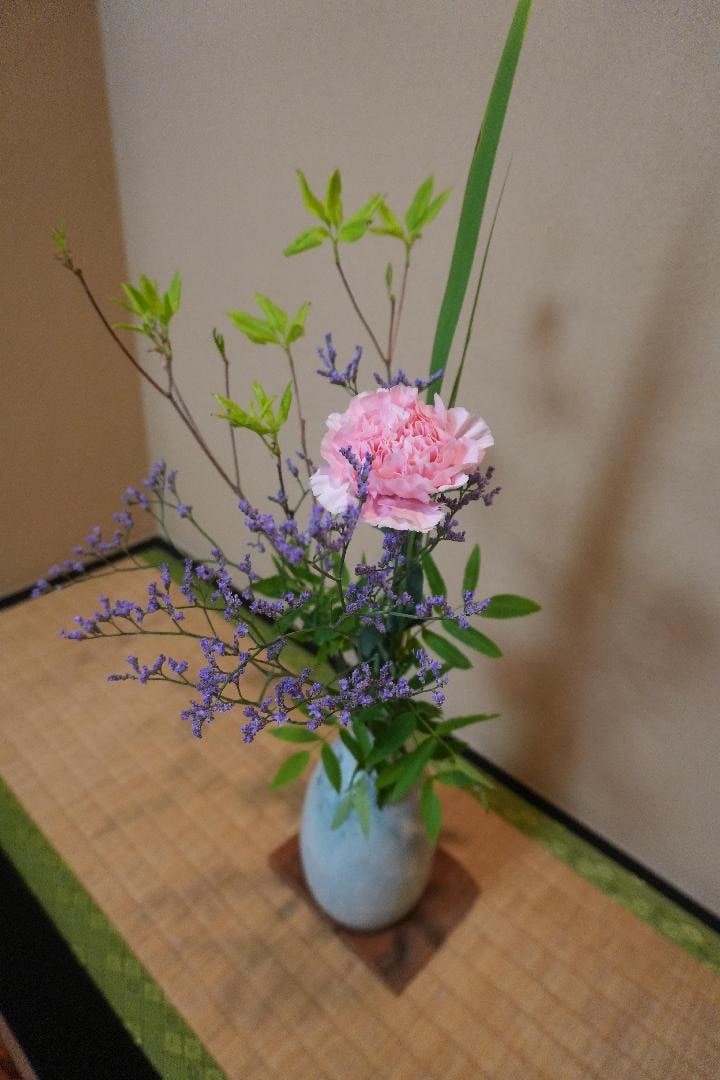 D8CE448C-D02E-4D40-821F-5767A15DEE09.jpeg