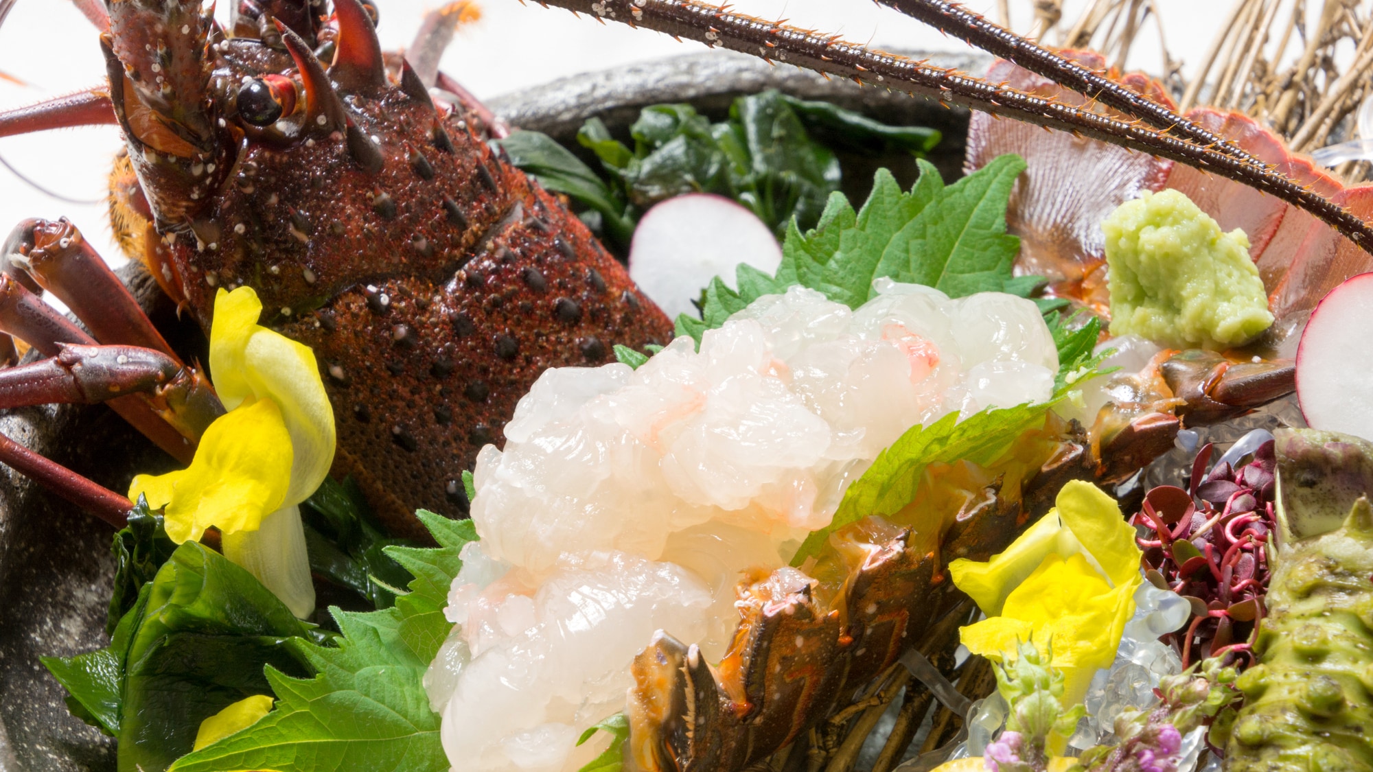 กุ้งล็อบสเตอร์อ้วนท้วน! * รูปภาพรูปภาพ