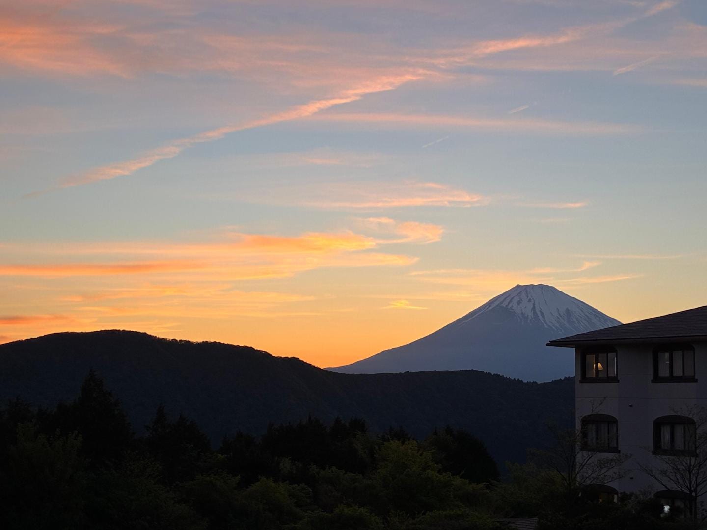 080839BF-1516-49FE-8470-BD9DF7DE1B32.jpeg
