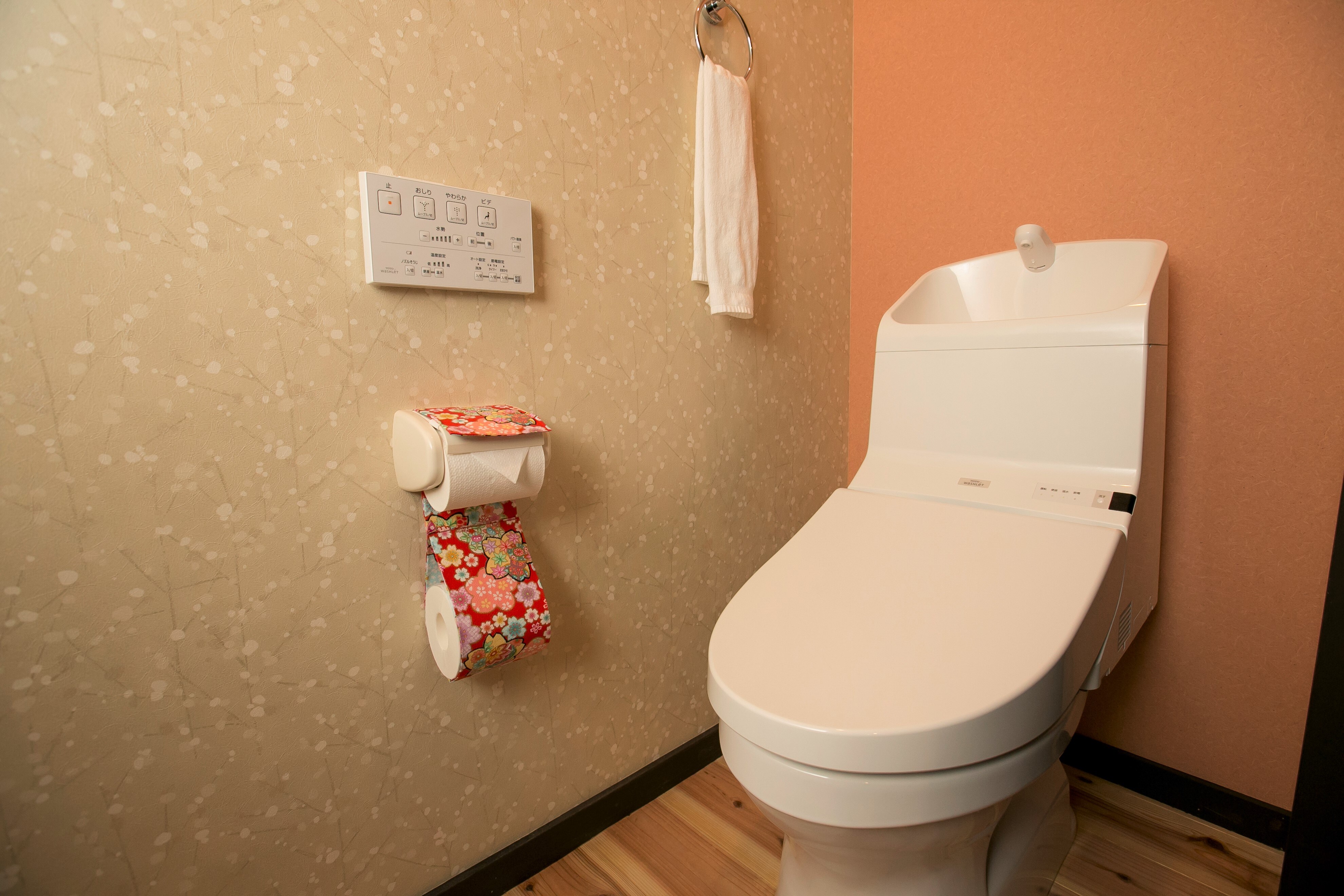 Clean toilet with washlet