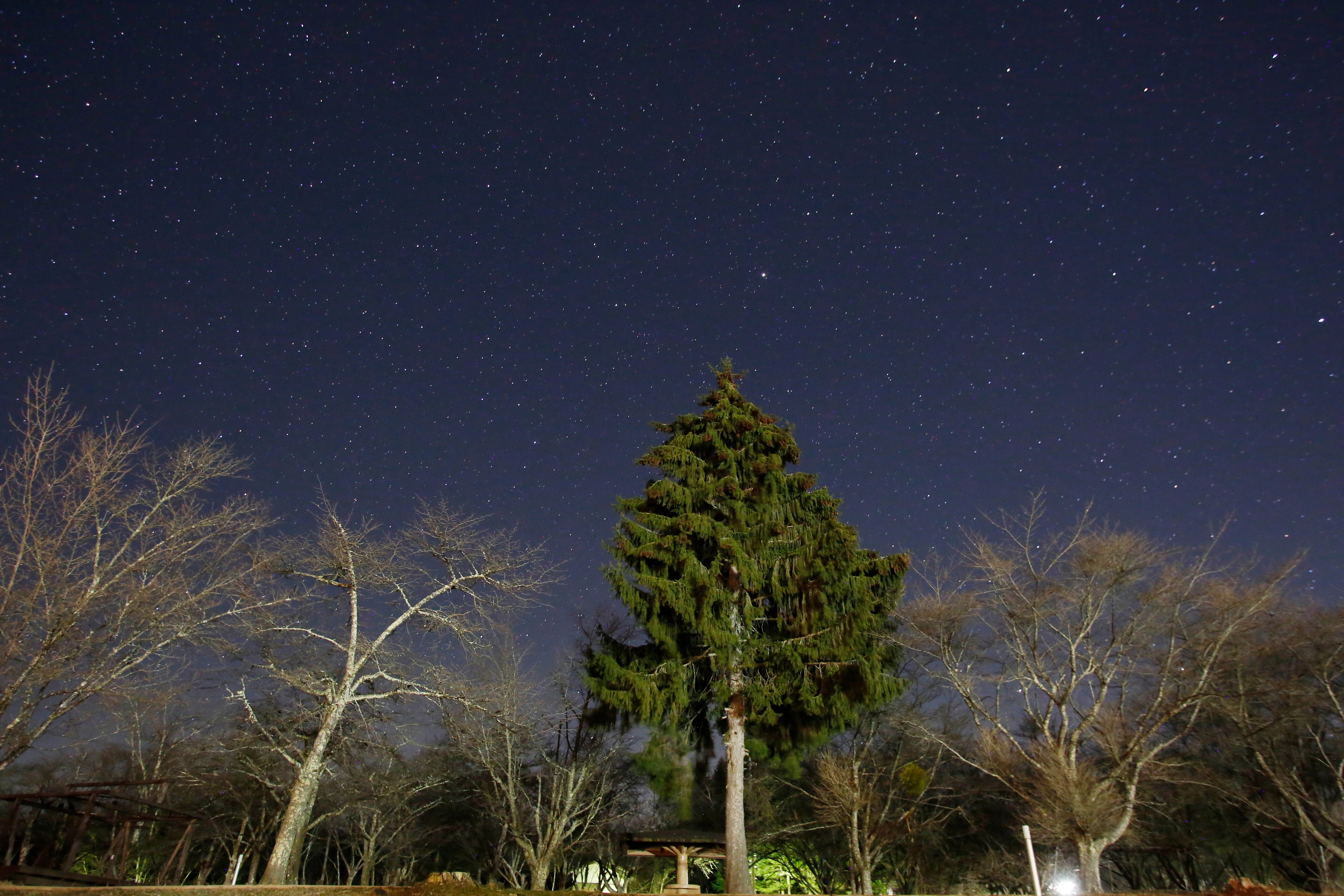 Stargazing☆