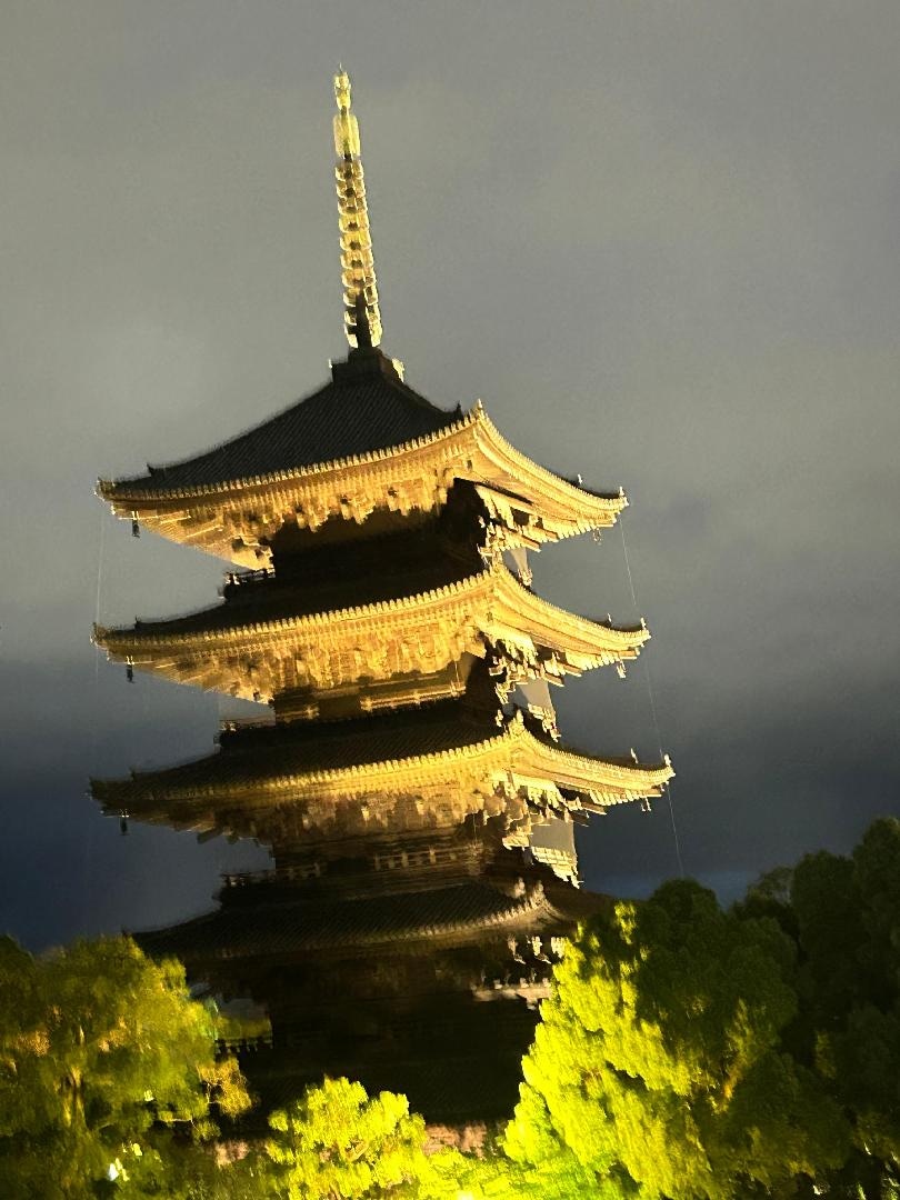 IMG_4958.jpeg
