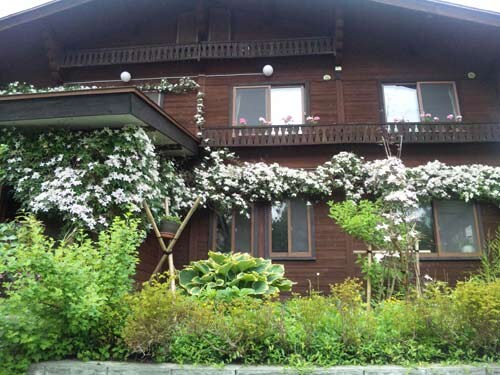 Appearance image