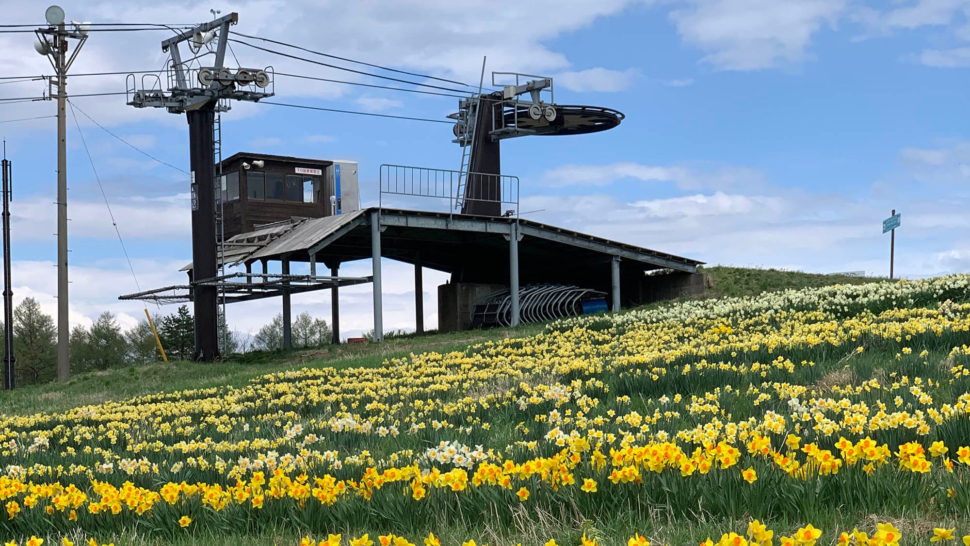 ・【全景纜車】溫暖的季節，搭乘纜車，空中漫步！您可以欣賞高原美麗的花朵和清新的空氣！