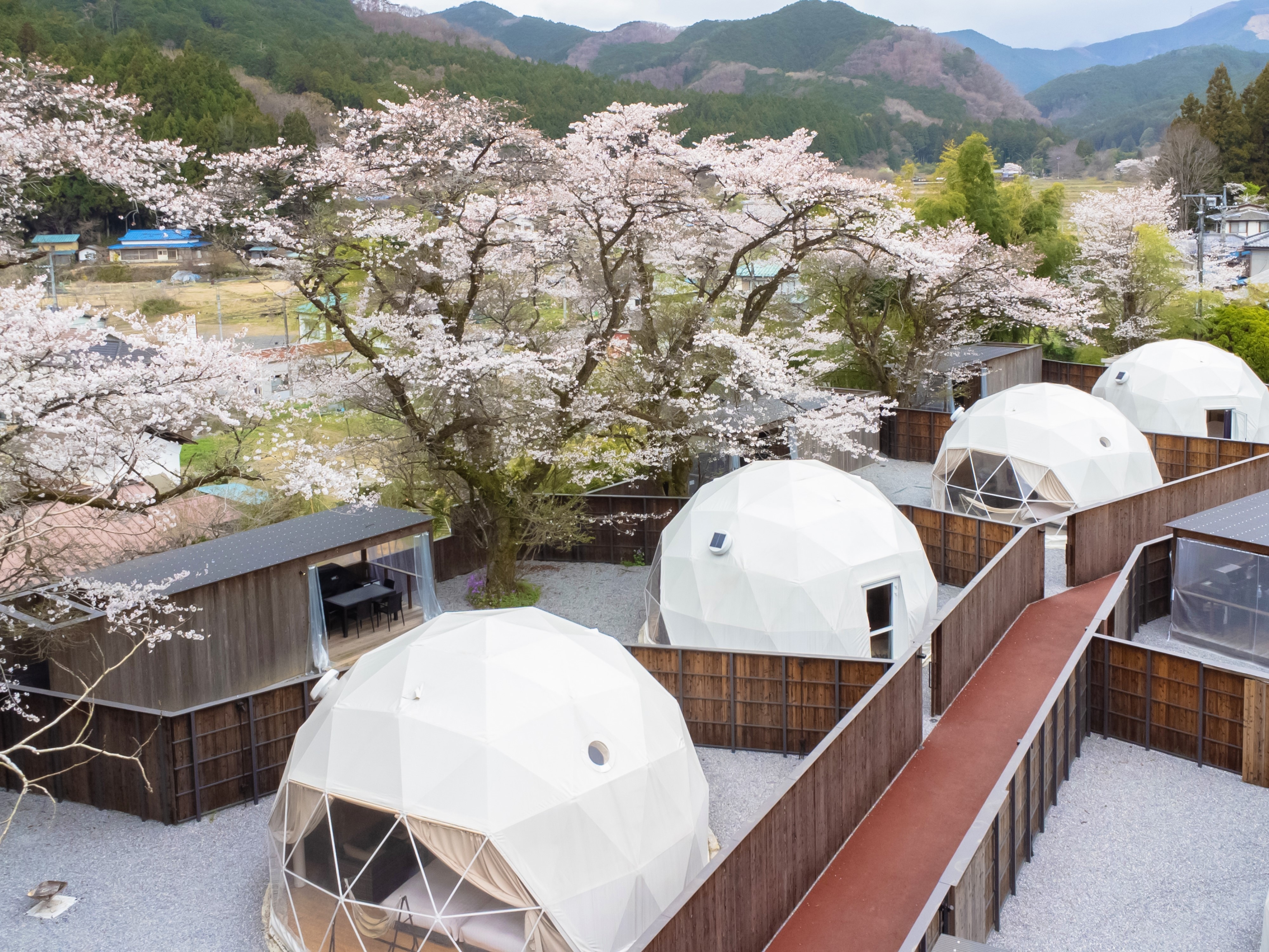 This is the exterior of the tent.