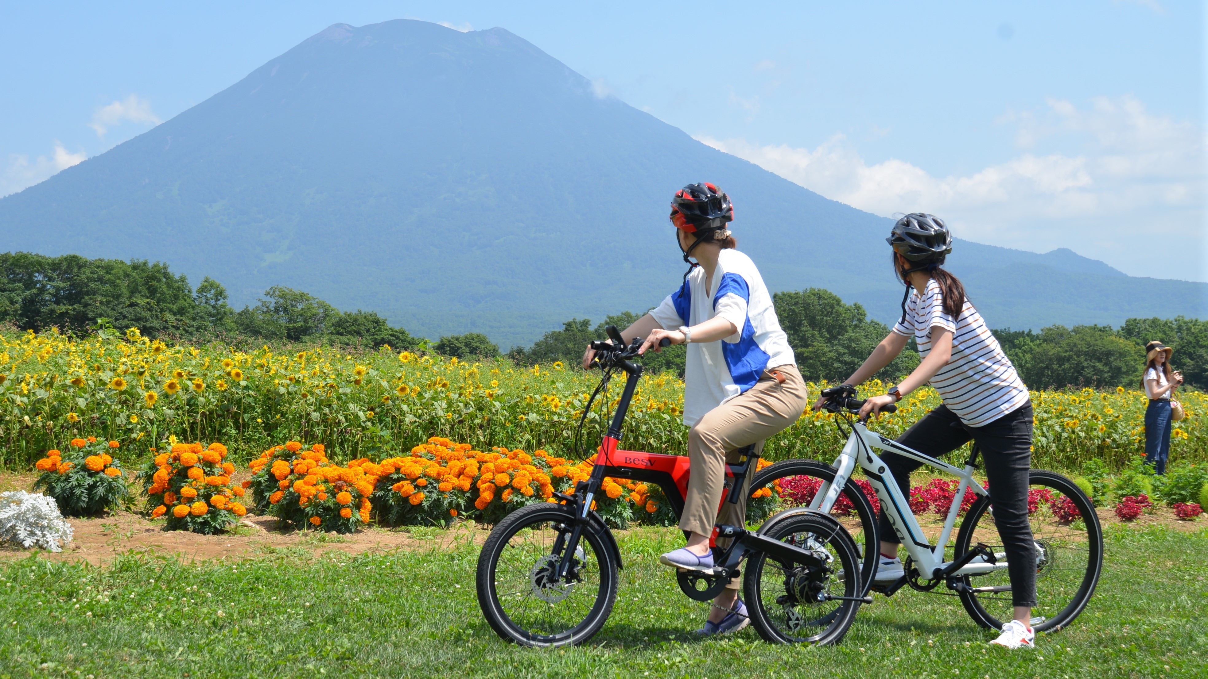 Electric Bike