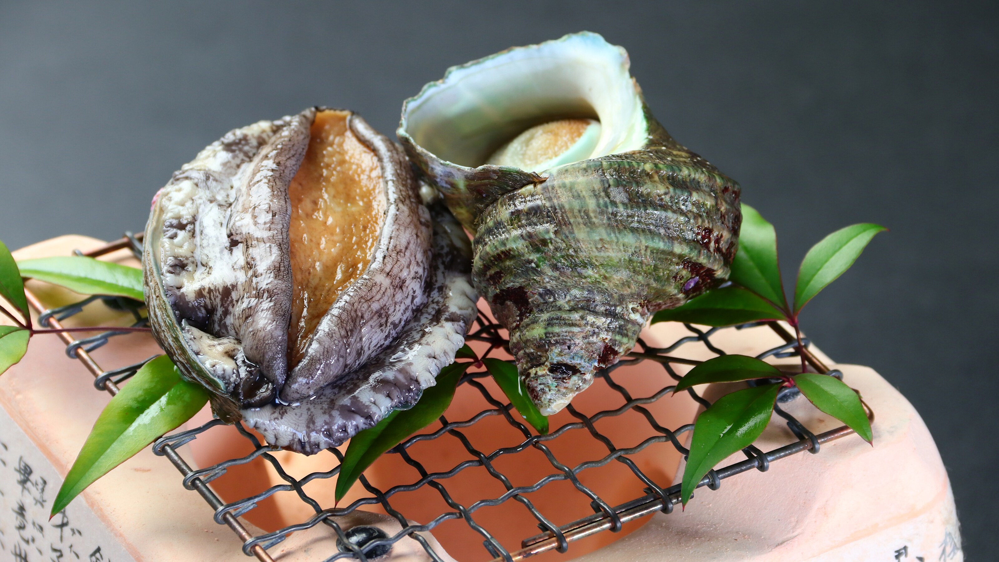 烤鮑魚和海螺殼