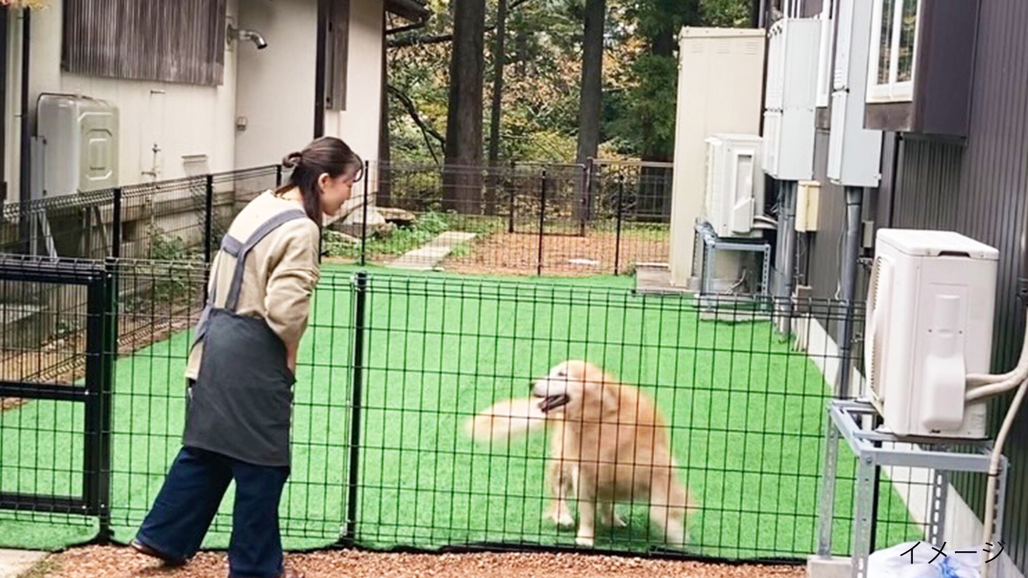 Tempat berlari anjing