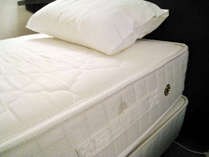 ที่นอน Serta