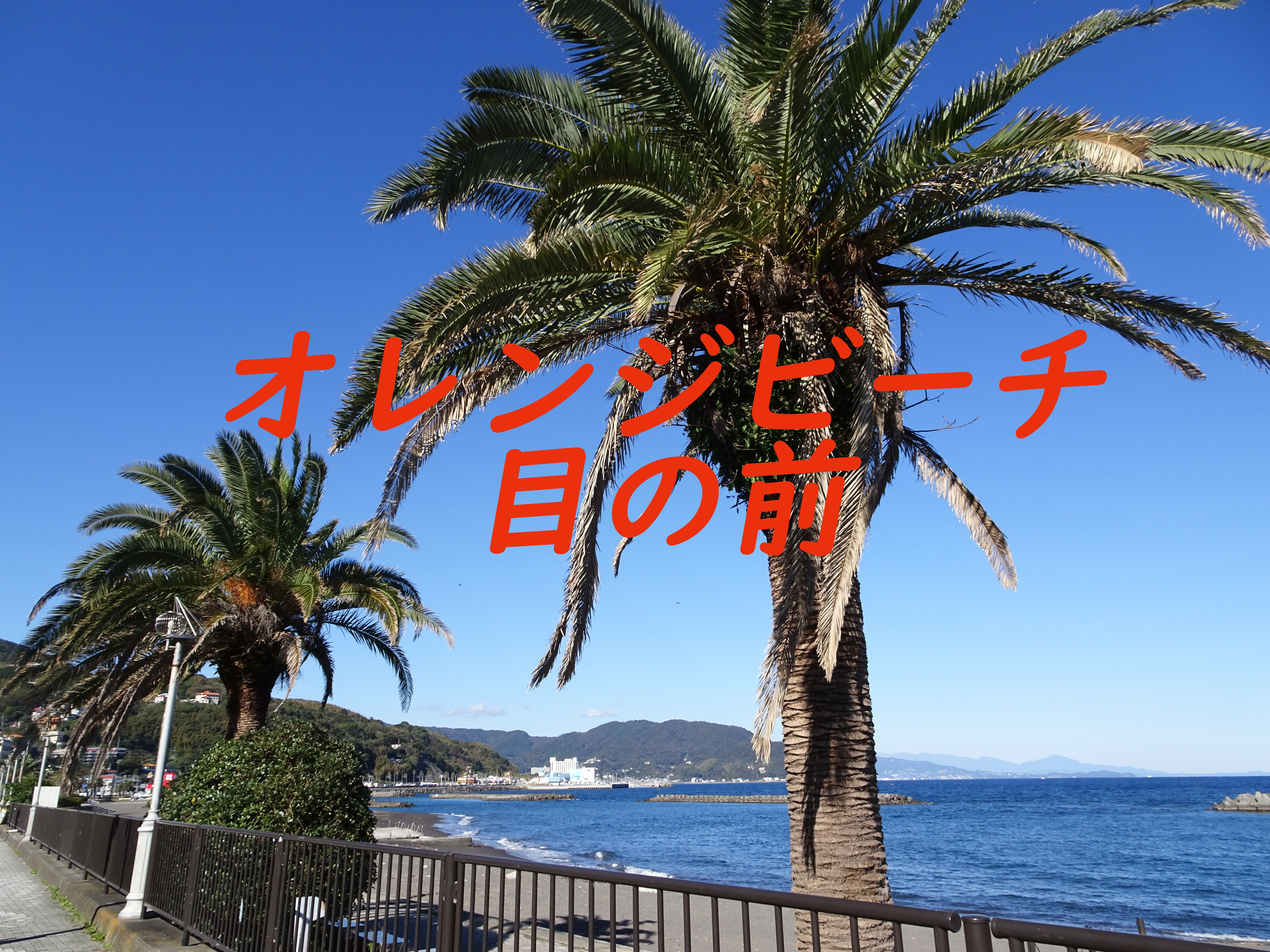 橘色海灘