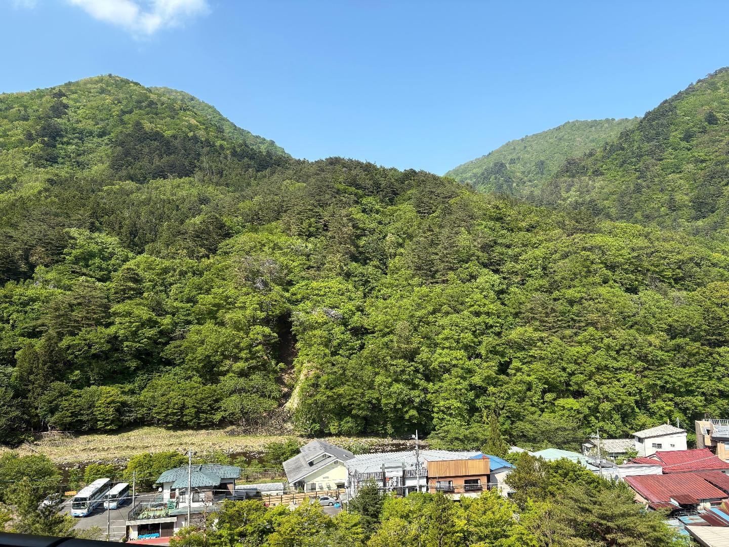 IMG_0433.jpeg