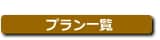 Plan list icon for email newsletter