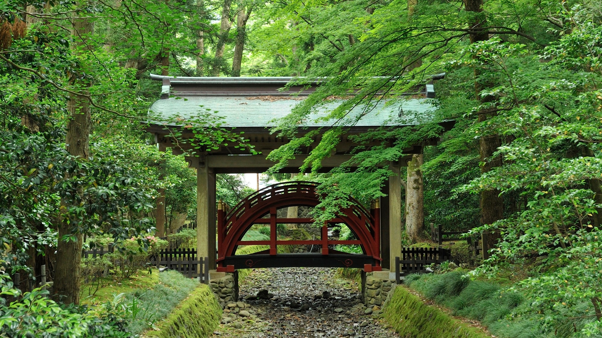 "Yahiko Shrine" The bridge "Tama no Hashi", which is said to be accessible only to gods, is on the left side of the first torii gate.