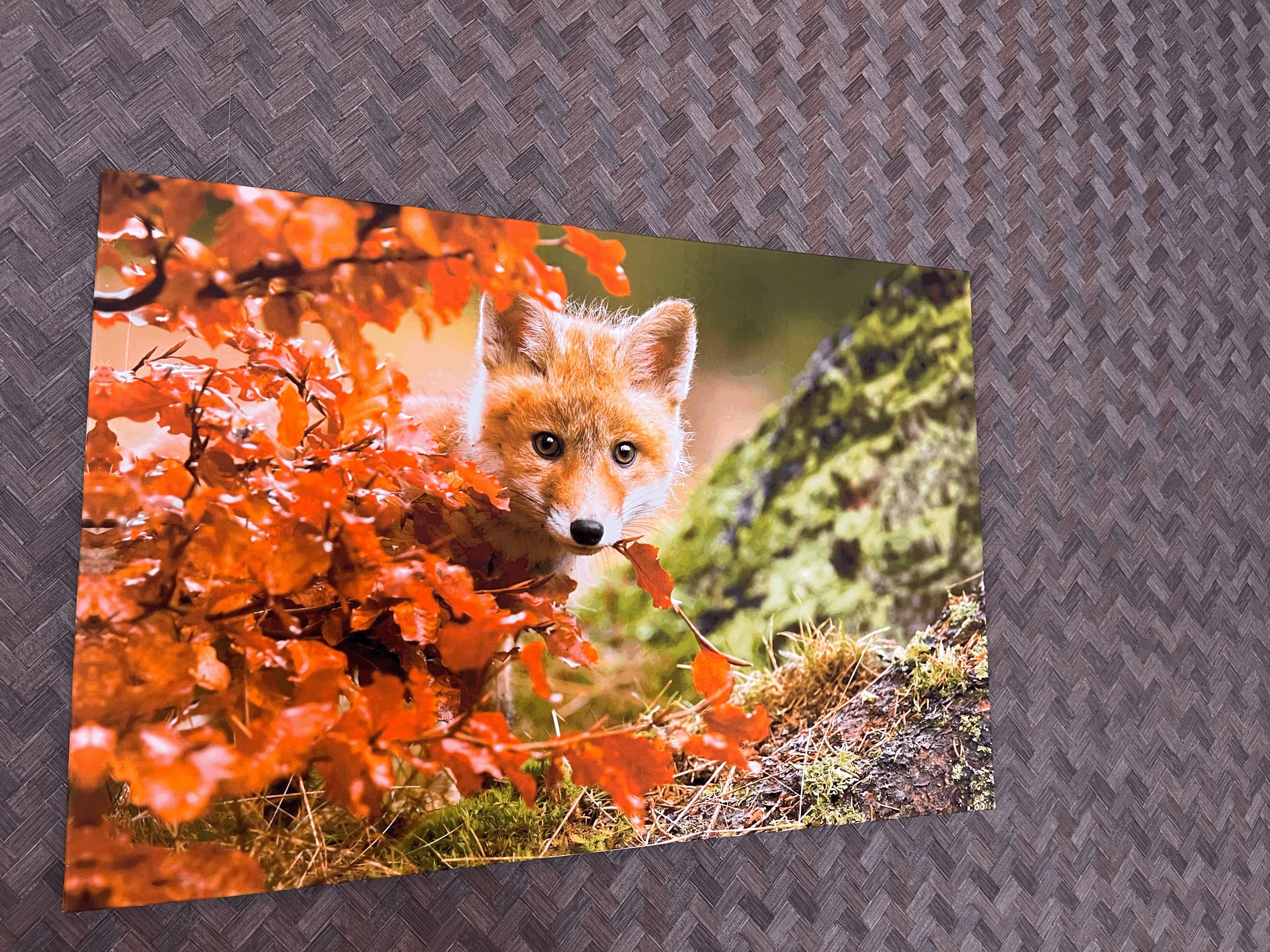 FOXROOM