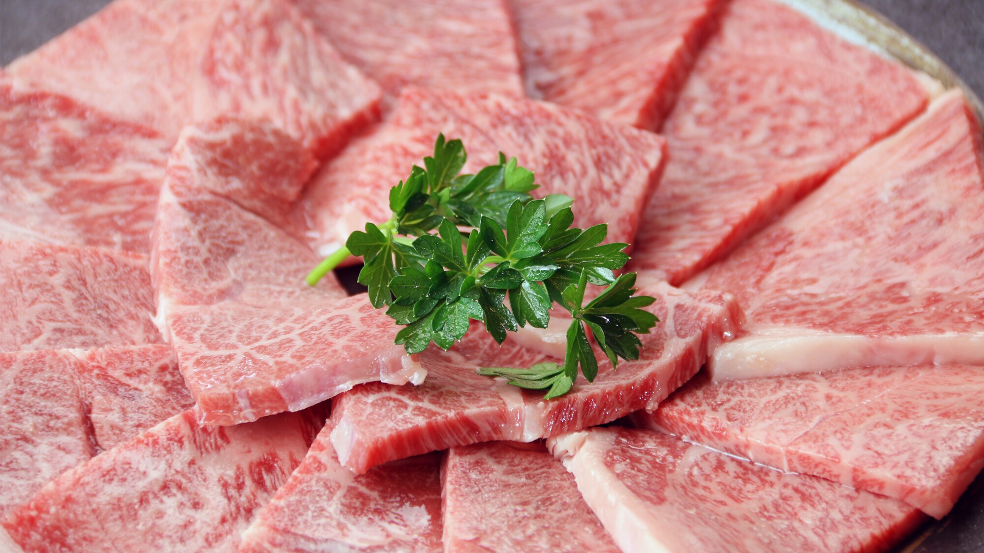 Grilled Japanese Black Beef