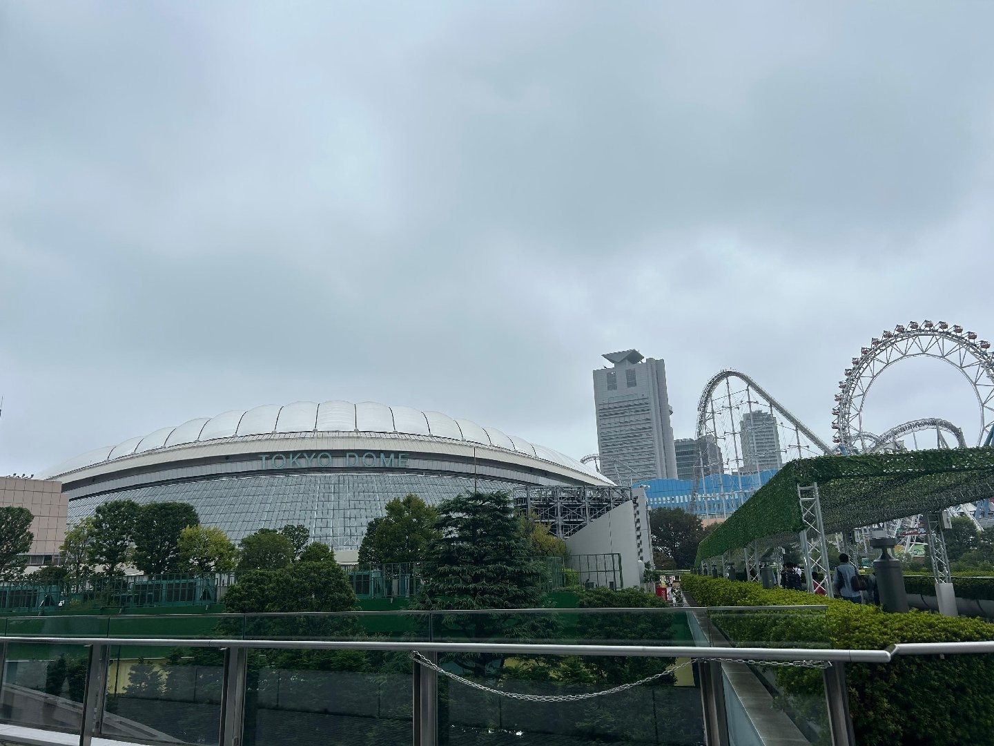 IMG_1253.jpeg