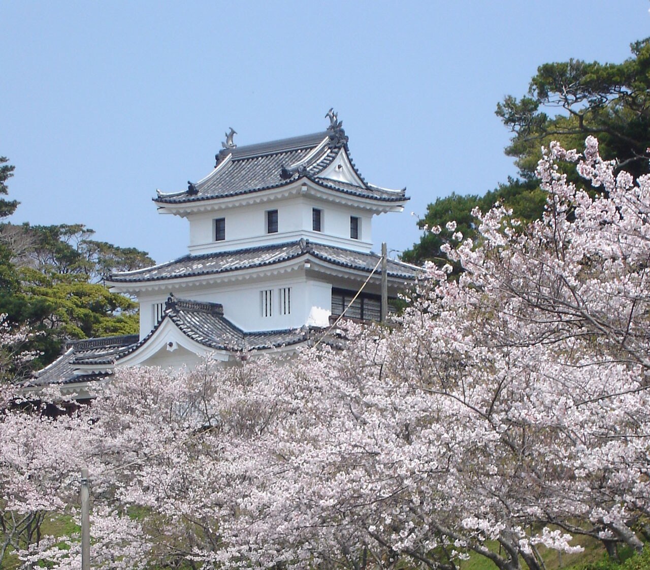 Sakura and Hirado Castle