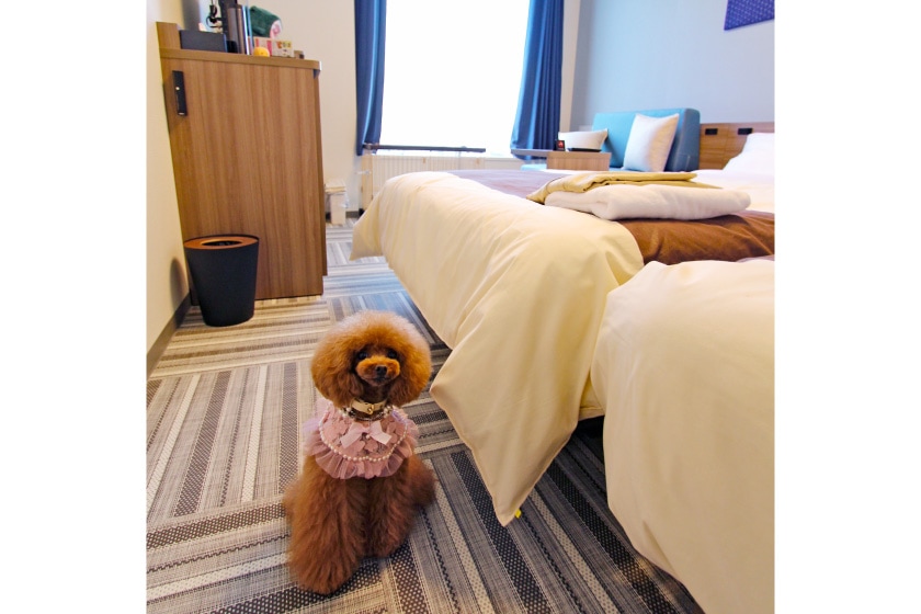 Dog room (for small dogs only)