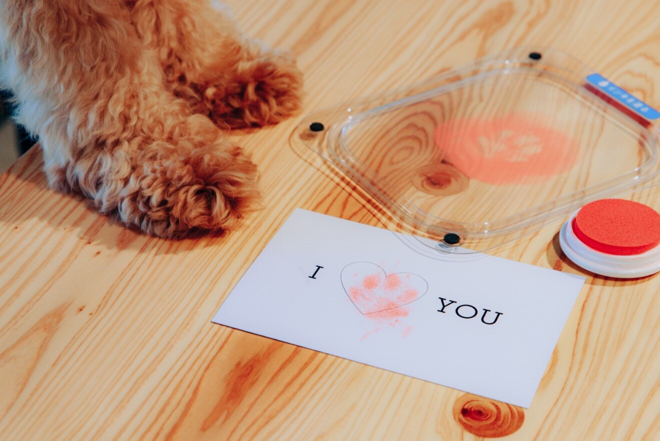 Woof Woof Art Studio
