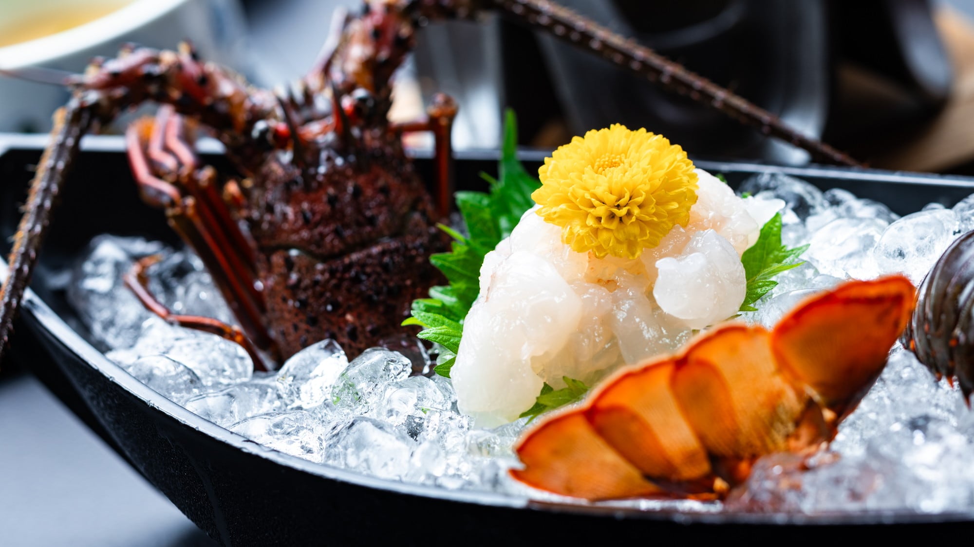 [Ise Lobster Sashimi] The firm texture and delicious flavor are irresistible!