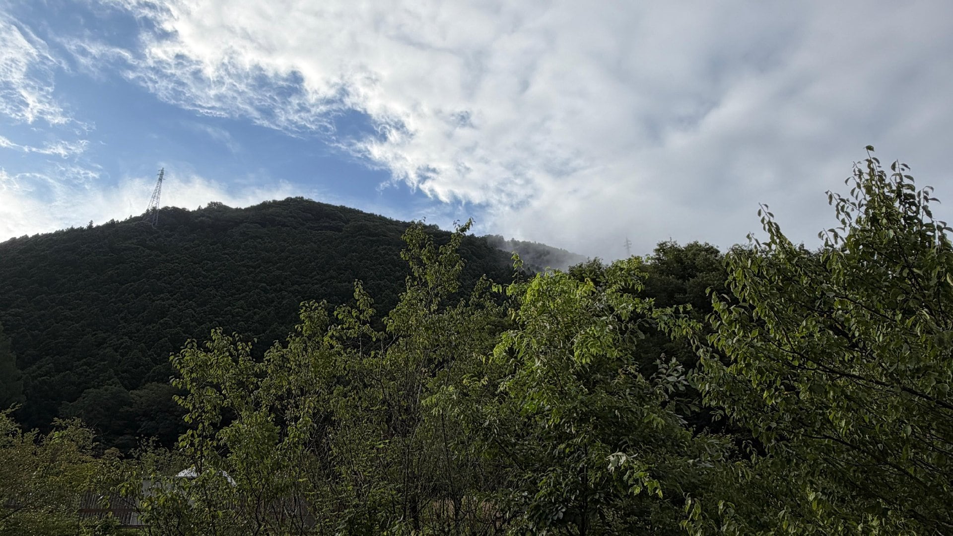 IMG_4256.jpg