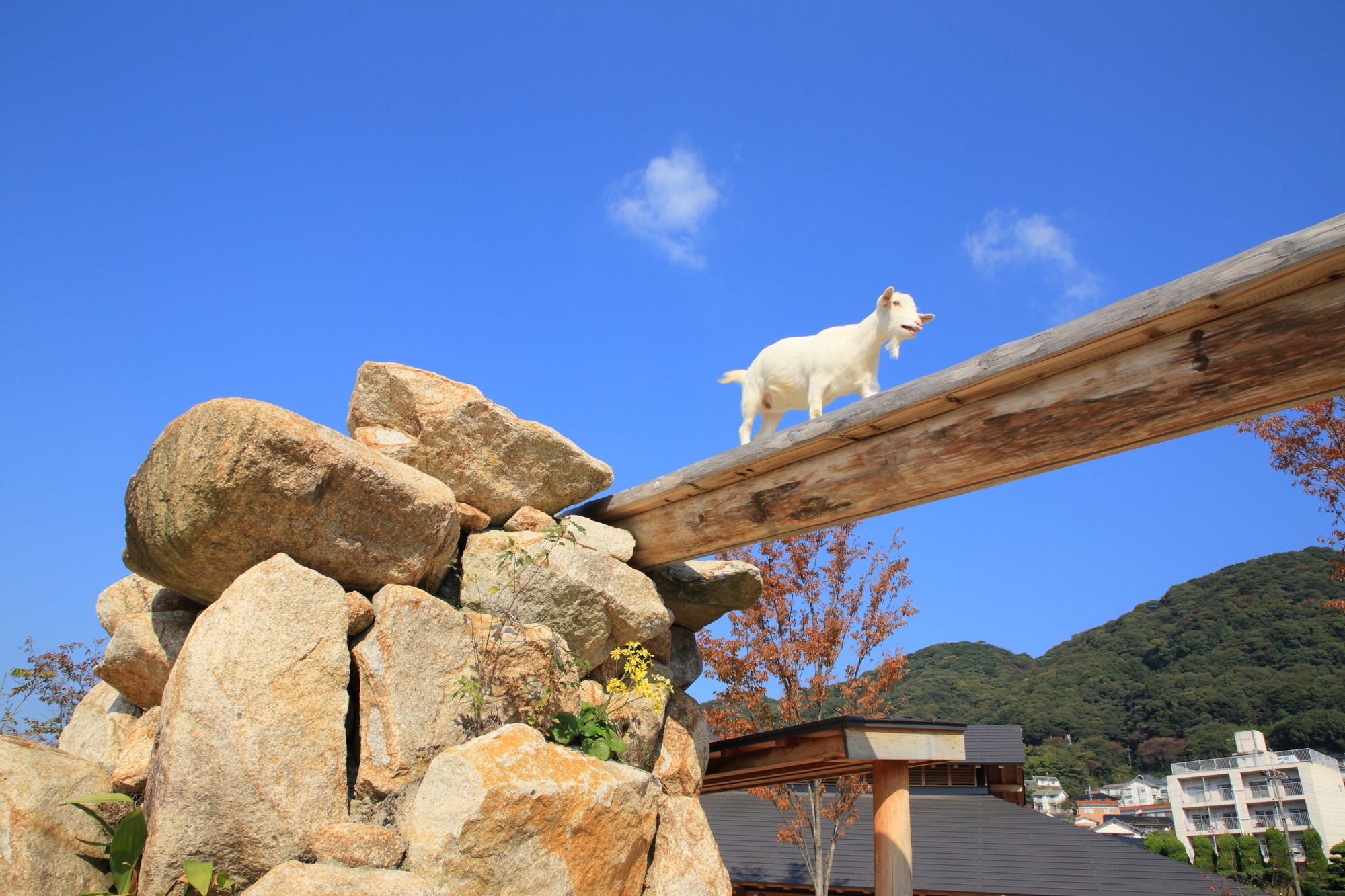 Shunan City Tokuyama Zoo