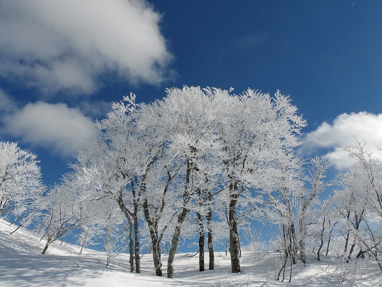 Hoarfrost