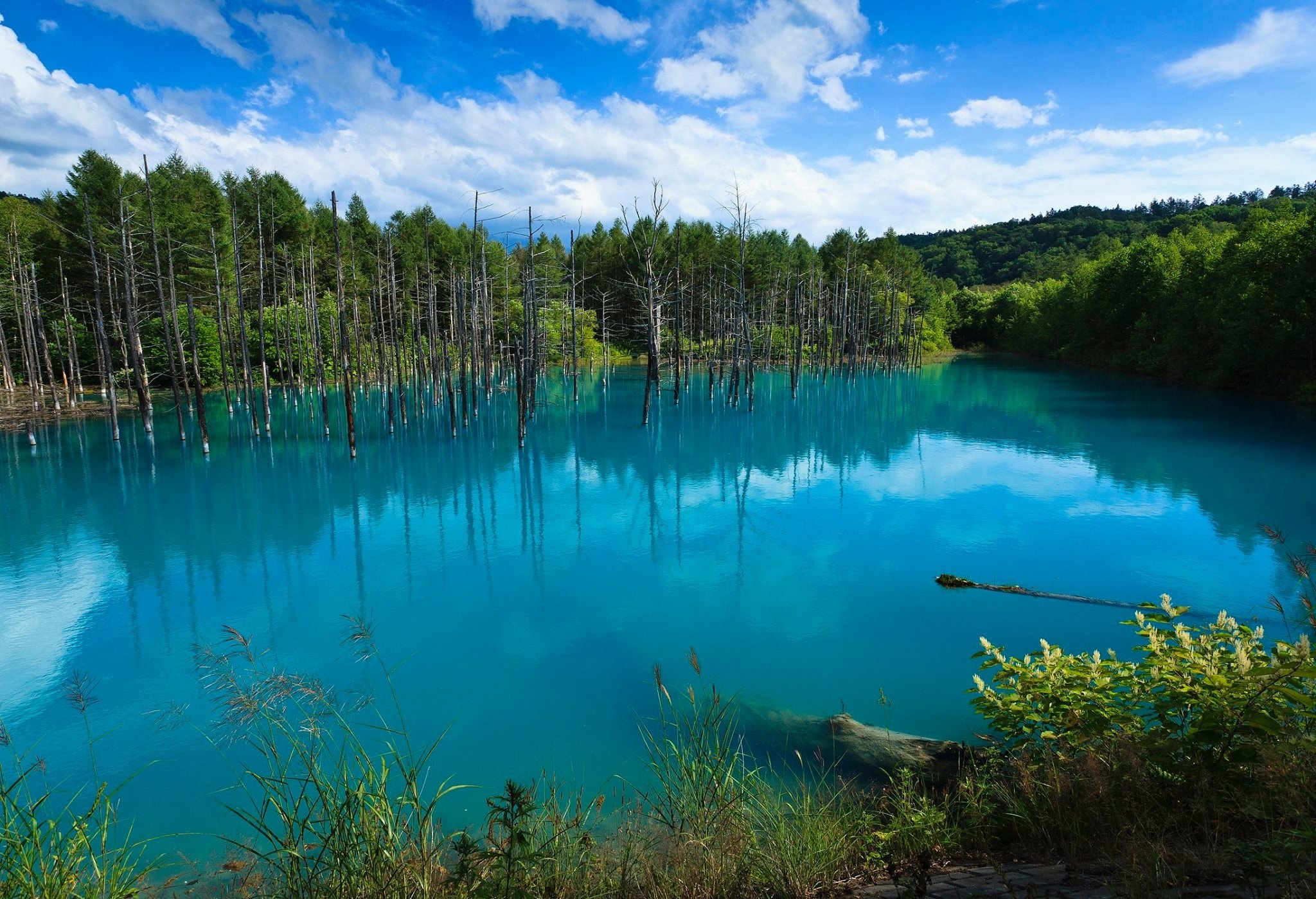 kolam biru
