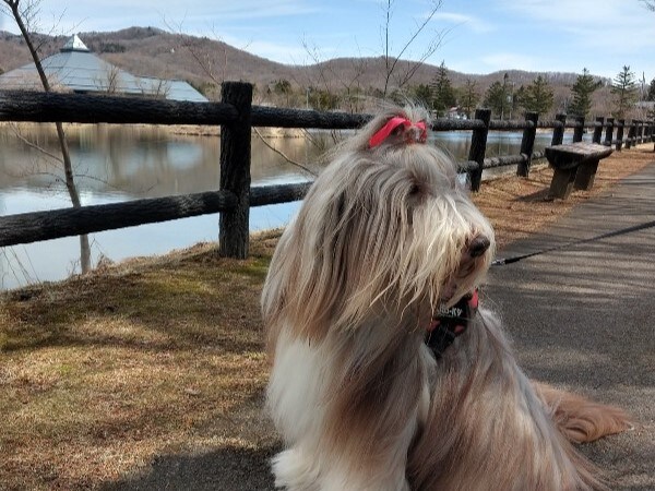 Yagasaki Park 2